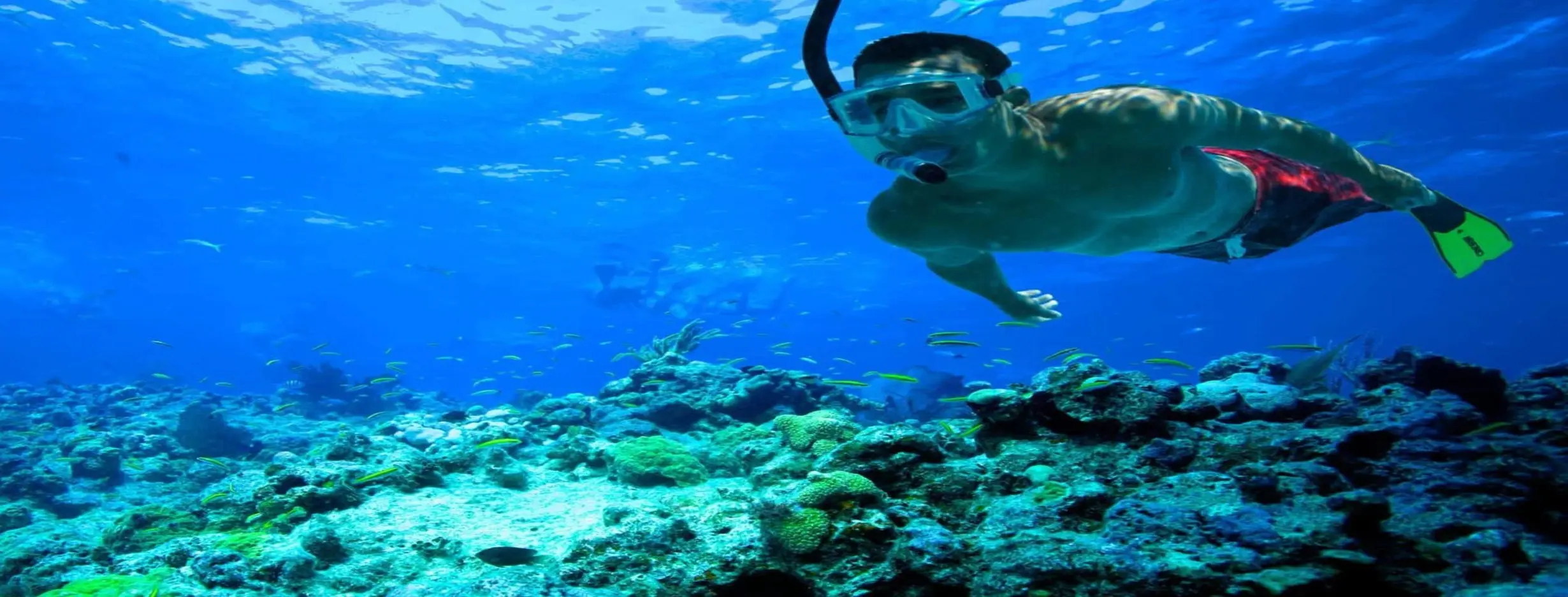 Image for Underwater Adventures